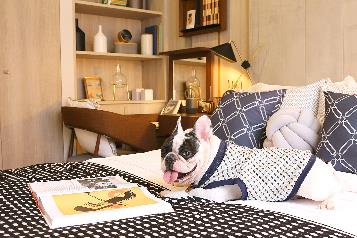 Pet-Friendly Residences