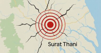 แผ่นดินไหวที่สุราษฎร์ธานี 9 ครั้งบอกเหตุอะไร