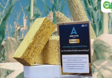 นวัตกรรม ‘คอร์นกรีตมวลเบา’ จากซังข้าวโพด คว้ารางวัลนวัตกรรมใหม่จากเวที Agri Plus Award 2026